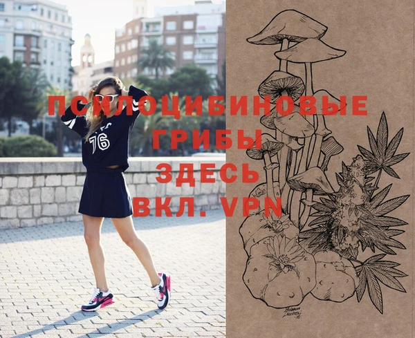 МДПВ Новозыбков
