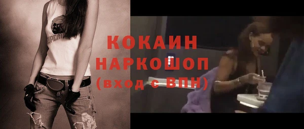 гидра Новодвинск