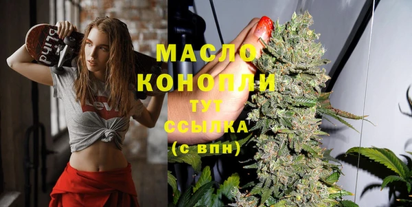 гидра Новодвинск