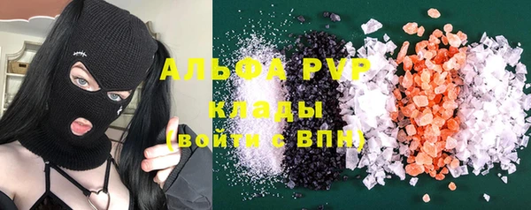 гидра Новодвинск