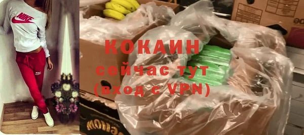 МДПВ Новозыбков